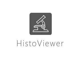 Разработка программной системы HistoViewer для медицинских учреждений